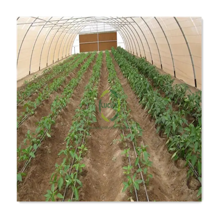 Rideau agricole rond avec Film Uv en plastique, 1 pièce, Tunnel à fraises en hauteur, équipement agricole, toile d'ombrage, cadre automatique, pour l'extérieur et serre