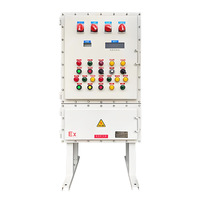 Panneau de commande antidéflagrant personnalisable IP65 380V, armoire électrique conforme à la norme ATEX pour les infrastructures en zone dangereuse