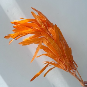 Vaina de Lentejuela Preservada a Granel - Compre <span class=keywords><strong>Flores</strong></span> Artificiales al por Mayor de China |   Regalo Romántico para el Día de San Valentín <span class=keywords><strong>y</strong></span> Elegante Recuerdo de Boda - Product Image 6