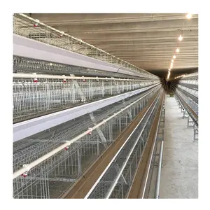 Il filo di acciaio Q235 ha usato le gabbie dello strato dell'uovo di gallina della batteria del pollame da vendere