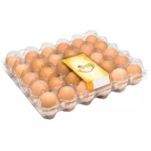 China Manufacturer Customized Size Plastic Egg Tray PET Tray for Storage