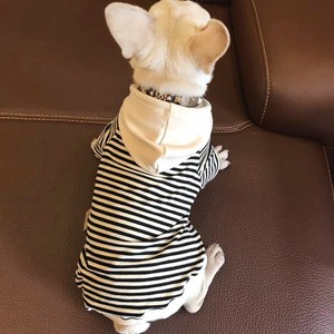 Sudadera con Capucha a Cuadros de Poliéster para Perro, Ropa de Invierno Cómoda y Bonita para Mascotas, Conjunto para Perros y Dueños - Product Image 4
