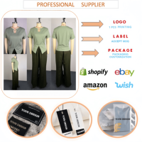 Ensemble élégant décontracté pour femme J491, tenue de printemps, vêtements de rue, chemise à manches courtes à col en V imprimée et pantalon large, ensemble 2 pièces