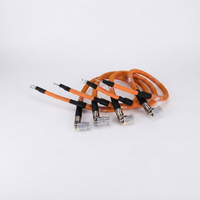 Câble haute tension personnalisé pour véhicules électriques, assemblage étanche IP67, faisceau de câblage en silicone ignifuge UL94 V-0, batterie haute courant