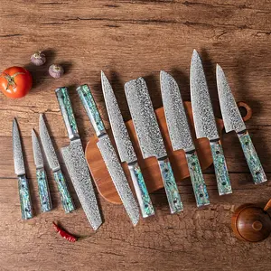 Professional Kitchen Knife Set Abalone Shell Handle Damascus VG10 Knife Set