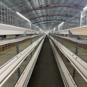 Có sẵn để Bán thiết bị lồng pin tự động cho chăn nuôi gà và chăn nuôi gia cầm - Product Image 3