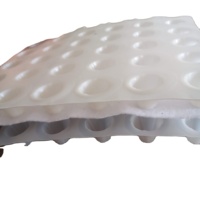 Planche de drainage alvéolée en HDPE pour piscine souterraine et étang, étanchéité écologique, panneaux de toiture