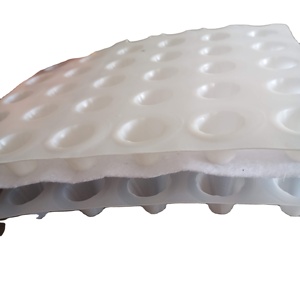 Lámina <span class=keywords><strong>de</strong></span> HDPE con Hoyuelos para Drenaje, Impermeabilización <span class=keywords><strong>de</strong></span> Piscinas Subterráneas y Estanques, Paneles Ecológicos para Techos - Product Image 2