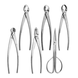 Juego de herramientas para bonsái, tijeras de podar de acero inoxidable, podadora de precisión para paisajismo, jardinería doméstica, agricultura y plantación - Product Image 1