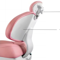 Fauteuil Dentaire Ergonomique Synchronisé à Positionnement Intégral, Design Tendance Jeunesse, Modèle TS-6830, pour Cliniques Jeunesse et Standard, Vente en Gros
