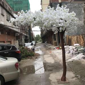 Árboles de cerezo artificiales decorativos para interiores Compre hermosas plantas de interior - Product Image 6