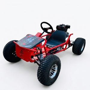 750W BLDC Shaft Drive with Hydraulic Brakes 80cm Wheels 200kg Load Capacity 70km/h Speed for Adults - Product Image 1