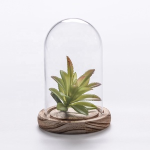 Cúpula y base de vidrio, maceta de terrario transparente de 5,9x7 pulgadas para plantas carnívoras, cactus pequeños, suculentas, Decoración de mesa - Product Image 5
