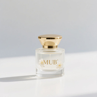 Botellas de Perfume Cuadradas de Vidrio con Tapa Dorada Personalizadas, OEM, Vacías, Recargables, con Pulverizador y Difusor de Varillas, 30ml/50ml/100ml