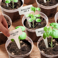 Pots de pépinière transparents 3/4/5 pouces, durables, légers, style simple, pots en plastique pour semis avec trous de drainage pour le démarrage des graines
