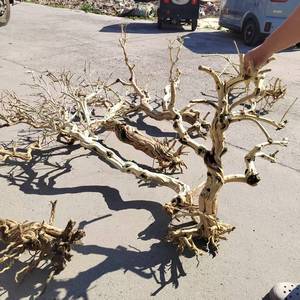 Grand support d'escalade en bois d'aquarium moderne en rotin naturel Rhododendron arbre chèvrefeuille arbre Overlord sacs pour - Product Image 6