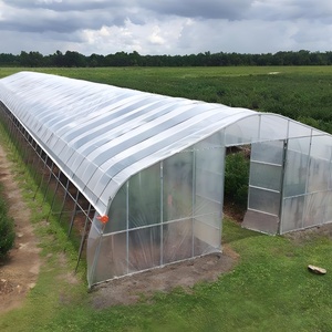 Invernadero Israel, invernadero de agricultura Poly House