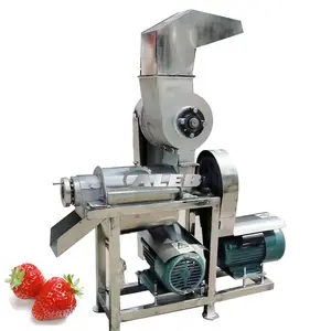 Prensadora hidráulica vertical para extracción de zumo de frutas y verduras, máquina industrial de prensado en frío