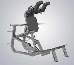 Équipement de musculation professionnel robuste pour décompression vertébrale et exercices fessiers, en acier inoxydable, revêtement poudré double couche, capacité de charge 500 kg - Product Image 4
