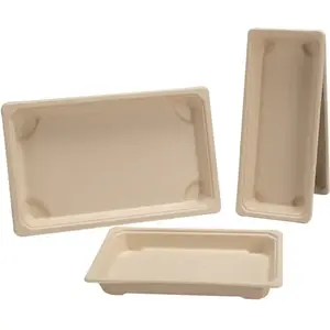 Venta al por mayor de platos de caña de azúcar biodegradables desechables bandeja de carne personalizable para supermercados bandeja de sushi de bagazo rectangular