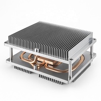 Dissipateur thermique à caloduc en aluminium anodisé pour VFD, UPS, PLC, onduleur solaire SVG, projecteur, IGBT, EV, PSU, télécommunications, refroidisseur d'air IPC