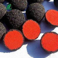 Balle abrasive semi-carborundum pour éliminer la rouille et le tartre de calcium des condenseurs