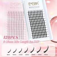 EMEDA Vison Impression 3D Anime Spire Premade Lashes Volume Spike Extensions de Cils Fournitures En Gros Doux Comic Spire Lash Trays