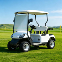 Voiturette de golf électrique 1-2 places 48V 100A 150A 200A avec batterie au lithium, sûre et stable, idéale pour les terrains de golf et les villas