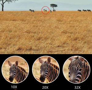 HD 10-32X50 Zoom <span class=keywords><strong>Telescopio</strong></span> monocular Óptico BAK4 Prisma Gran apertura con trípode para teléfono inteligente - Product Image 6