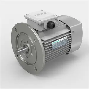 Fuente de la fábrica Venta caliente 1hp motor