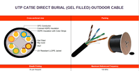 Kabel Luar Ruangan UTP CAT5E RJ45 Solid 8-Konduktor Tembaga untuk Penanaman Langsung (Berisi Gel)
