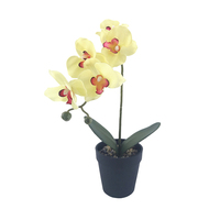 Groothandel Thuis Tuin Decoratie Orchidee Kunstmatige Plant Simulatie Real Touch Kleurrijke Plastic Bloem Bruiloft