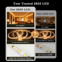 SMD 2835 LED-Streifen 24V 12V 2700K, 3000K, 4000K, 6500K Lichterketten für TV-Hintergrundbeleuchtung Wohnzimmer-Streifenbeleuchtung 10m 5m Rolle