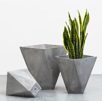 Nordique grand plancher créatif moderne géométrique Simple modélisation Cactus maison Pot de fleur en argile de magnésium