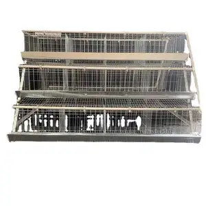 Fully Automatic Galvanized Rooster Cage Poultry Farm Equipment Feeding System Livestock Chicken Coop Wire Machine Broiler Lay
