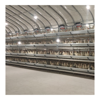 Offre Spéciale : Cage à Poulets Automatique Type H à 4 Niveaux, Équipement d'Élevage Galvanisé pour 20 000 Poulets, Idéal pour Projets d'Exploitation Avicole en Afrique