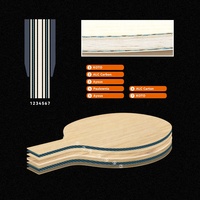 Raquette de ping-pong professionnelle, batte ALC, lame de Tennis de Table en Fiber de carbone