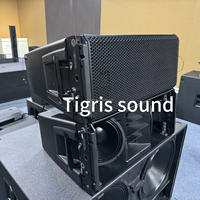 Altavoz Line Array HDL 30a 20a 9006 Doble de 10 Pulgadas Activo, Sistema de Sonido DJ con Altavoces autoamplificados