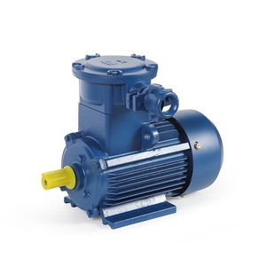 มอเตอร์ป้องกันการระเบิด YBE4-200L2-6 22 กิโลวัตต์ 6 โพล มอเตอร์สามเฟส 200 โวลต์ 50 เฮิรตซ์/380 โวลต์ มอเตอร์มาตรฐาน CE - Product Image 1