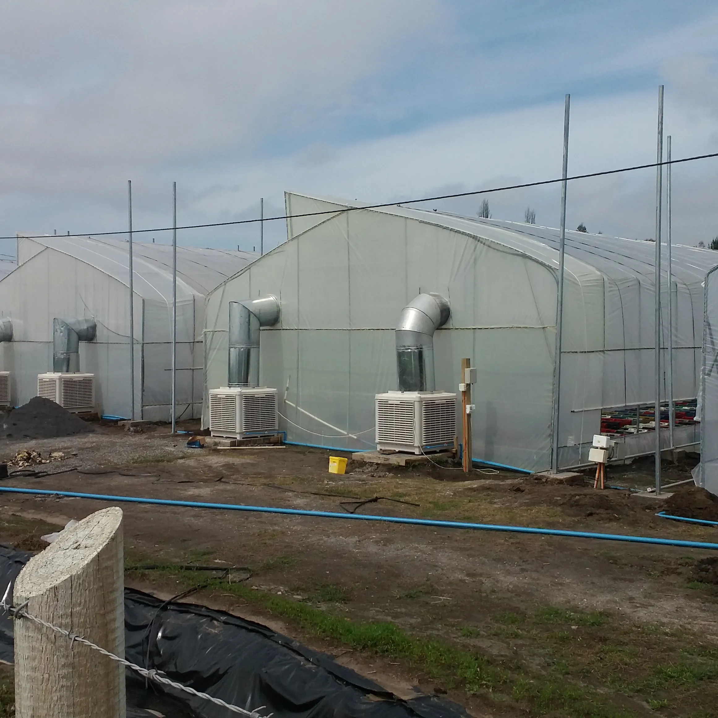 屋根窓とトマトとイチゴの冷却システムを備えたホットエリア用の高品質の温室