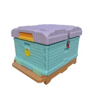 Plastic-bee hives 10 frames with drawer hive plastic one