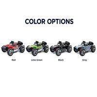 Voiture télécommandée RC Buggy tout-terrain 2.4G avec système de suspension, modèle à l'échelle 1:16, pour intérieur/extérieur STORM BG1513