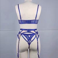Ensemble de lingerie sexy en maille bleue pour femmes, soutien-gorge push-up, culotte, dentelle de luxe, logo personnalisé, décoration - Producteur de lingerie de luxe