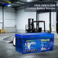 Batterie LiFePO4 pour équipement d'entrepôt 24V 120AH pour la manutention des matériaux, légère, conforme aux normes MSDS UN38.3 CE RoHS, fabrication OEM ODM