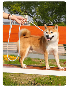 HIPHOPPET pesante corda intrecciata guinzaglio cane con fibbia di sicurezza regolabile in piombo per cani di grandi dimensioni formazione forte guinzaglio Pet durevole - Product Image 6