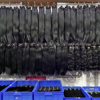 Lots de Cheveux Humains Bruts Birmans Bouclés en Gros, Cuticules Alignées, Non Traités, Double Trame, Extensions de Cheveux pour Coiffure Naturelle