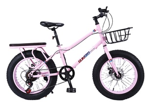 Vélo de <span class=keywords><strong>montagne</strong></span> Red Rabbit de 20 pouces avec freins à disque doubles et cadre en acier au carbone, disponible en plusieurs couleurs - Product Image 2