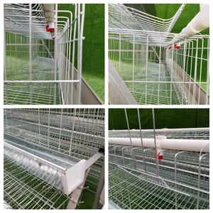 Jaula para Gallinas Ponedoras de 1000 Niveles, Sistema de Bebederos para Cría, 96/128 Aves, Jaula para Gallinas Ponedoras para Avicultura - Product Image 4