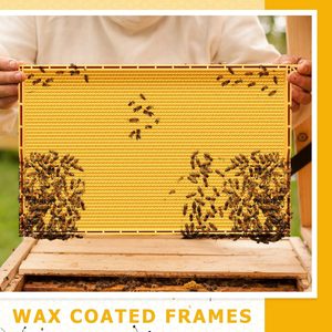 Paquete <span class=keywords><strong>de</strong></span> 10 láminas <span class=keywords><strong>de</strong></span> plástico amarillo para base <span class=keywords><strong>de</strong></span> colmena - Láminas <span class=keywords><strong>de</strong></span> cera para fundaciones <span class=keywords><strong>de</strong></span> cría profunda para colmenas Langstroth - Product Image 6