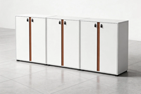 Armoire basse moderne en panneau écologique de qualité E1, double refroidissement, serrure à code, hauteur réglable, finition mélamine résistante à l'usure, anti-rouille